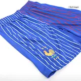 France Away Soccer Shorts