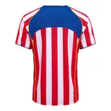 Retro Soccer Jersey Atletico Madrid Home 2004/05