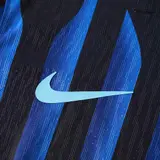 DUMFRIES #2 Inter Milan Home inspired Soccer Jersey 2025/26