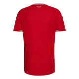 Wales Home Soccer Jersey World Cup 2026
