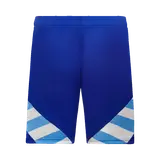 Argentina Away Soccer Shorts