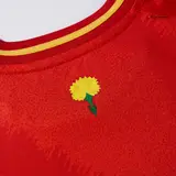 Spain Home Kids Soccer Jerseys Full Kit EURO