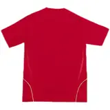 Retro Soccer Jersey Spain Home 2008