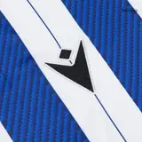 Real Sociedad Home Soccer Jersey 2025/26