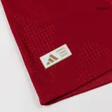 Hungary Home Player Version Jersey World Cup 2026