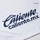 Pumas UNAM Home Soccer Jersey 2025/26