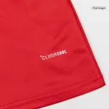 Wales Home Soccer Jersey World Cup 2026