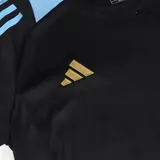 Argentina Pre-Match Soccer Jersey Copa America