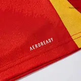 Spain Home Kids Soccer Jerseys Full Kit EURO