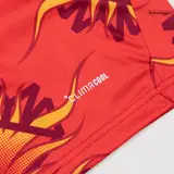 Japan Goalkeeper Soccer Jersey World Cup 2026 Red