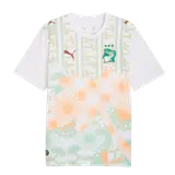 Côte d'Ivoire Away Soccer Jersey World Cup 2026