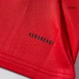 Benfica Home Soccer Jersey 2025/26