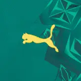 Senegal Away Soccer Jersey World Cup 2026