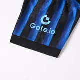DUMFRIES #2 Inter Milan Home inspired Soccer Jersey 2025/26
