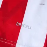 PSV Eindhoven Home Soccer Jersey 2025/26