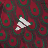 RAÚL #9 Mexico Home Soccer Jersey Copa America