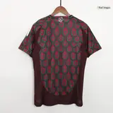 Mexico Home inspired Soccer Jersey Copa America