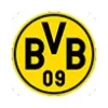 BVB BVB